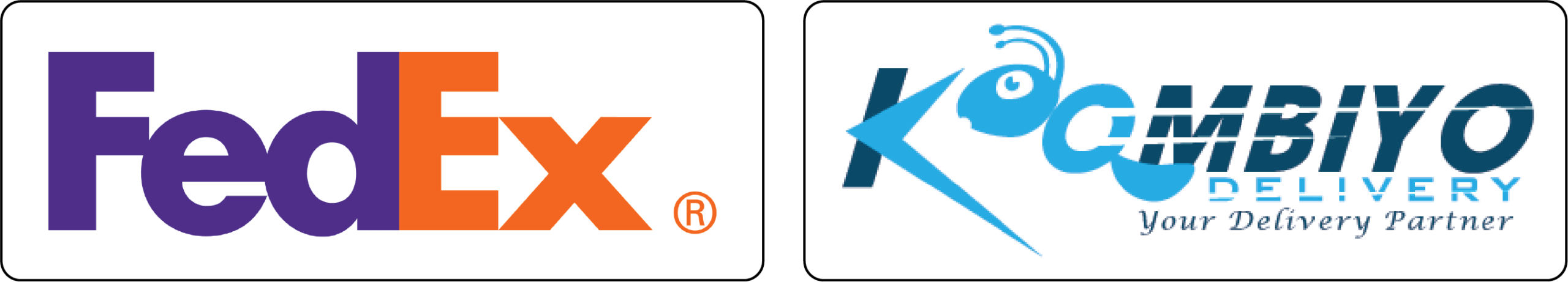 Delivery Partners