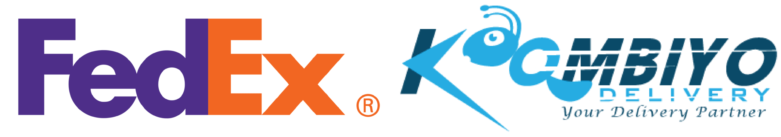 Delivery Partners