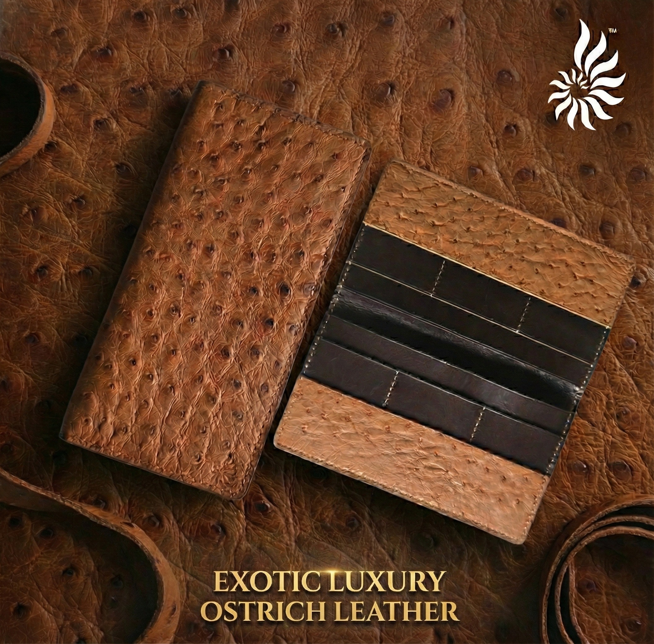 Ostrich Ladies Card Wallet