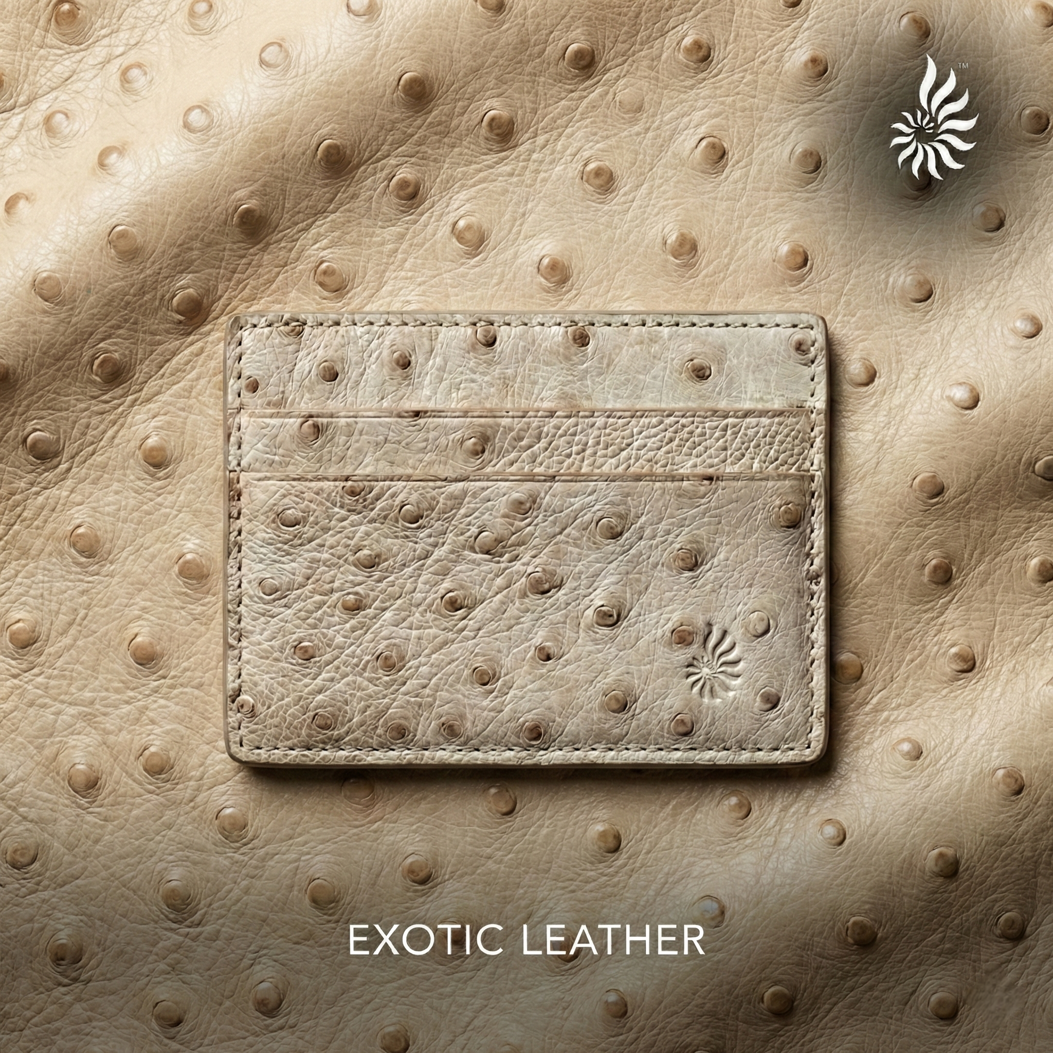 Exotic Leather Ladies Card Wallet