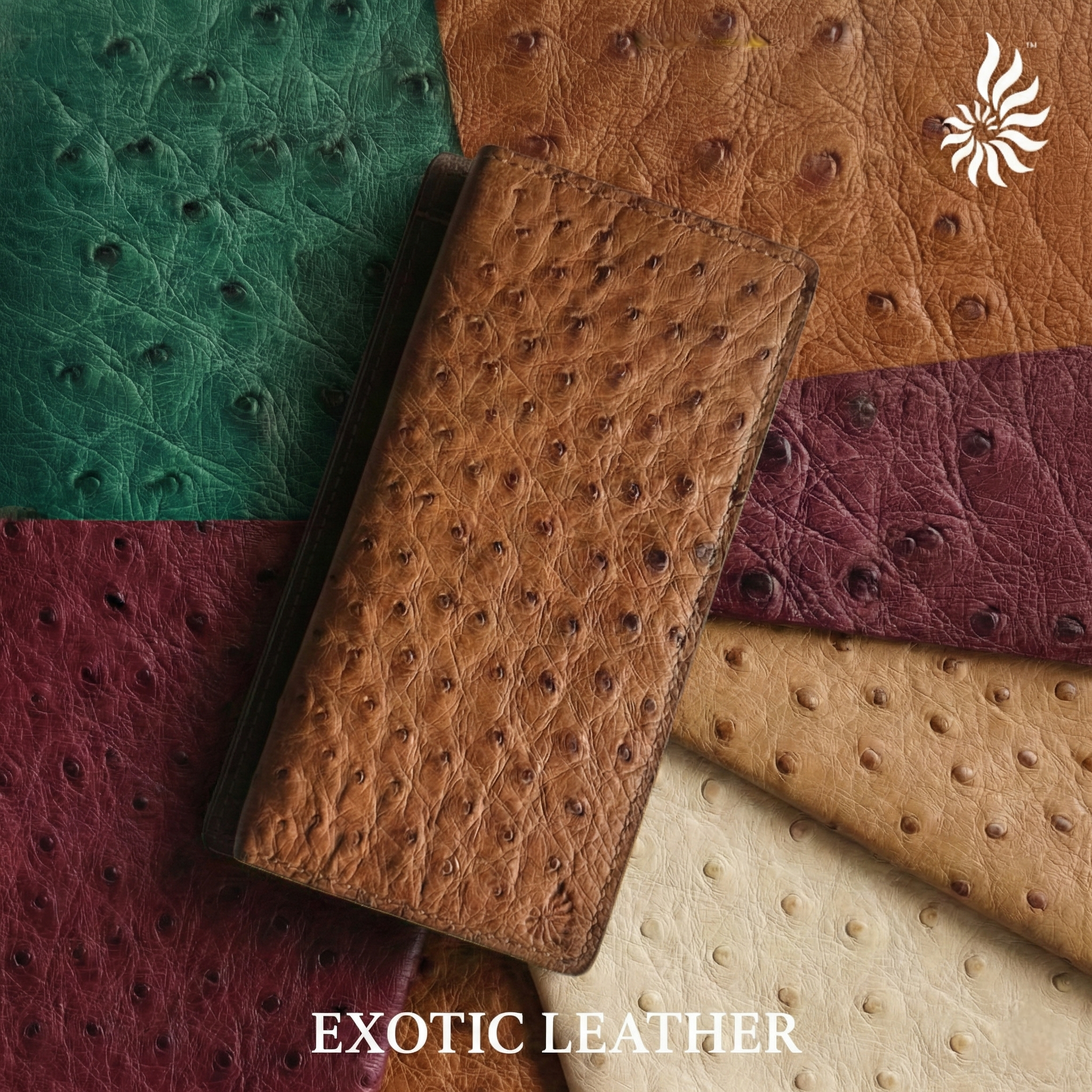 Exotic Leather Ladies Card Wallet