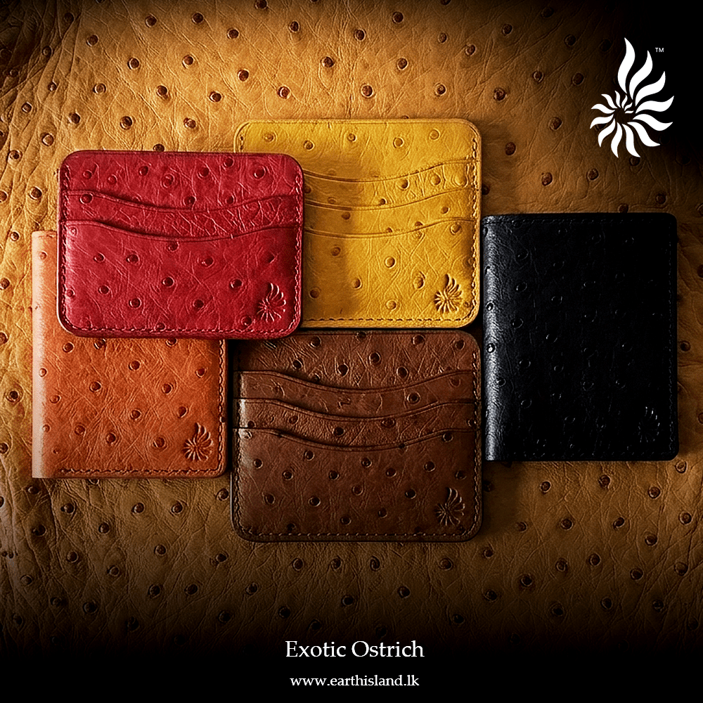 Ostrich Card Wallet